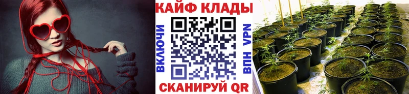 Купить наркотик аптеки Зубцов Псилоцибиновые грибы Каннабис