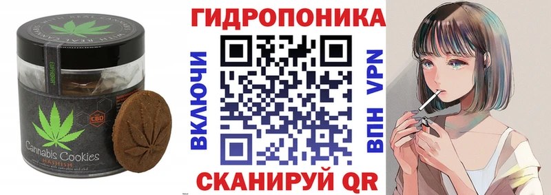 MEGA ONION  Зубцов  Canna-Cookies конопля 