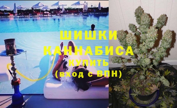 амф Абинск