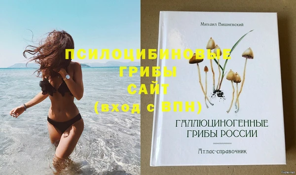 молекула духа Абаза
