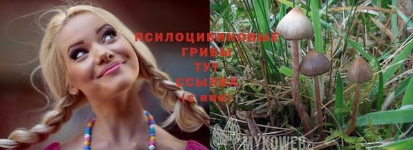 молекула духа Абаза