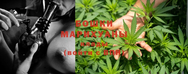 PSILOCYBIN Абдулино