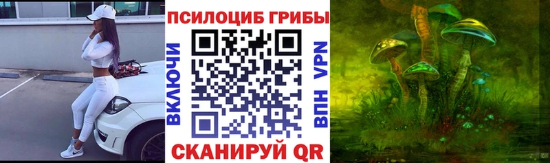 купить наркотики цена  Зубцов  Галлюциногенные грибы прущие грибы 