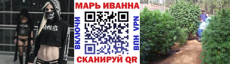 закладка  Зубцов  Марихуана гибрид 